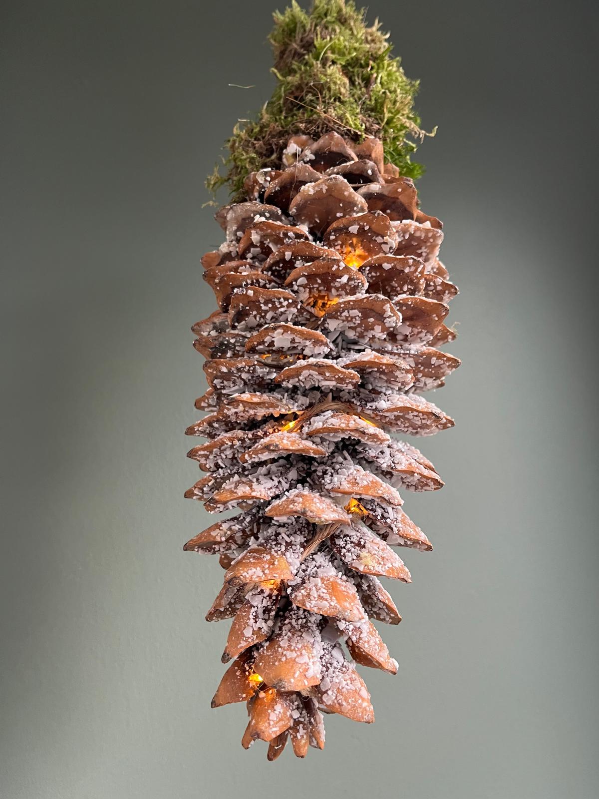 Dennenappel lantaarn - Afbeelding 2