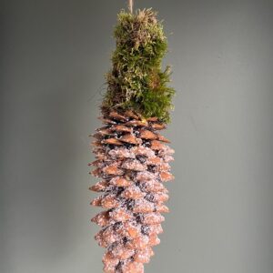 Dennenappel lantaarn