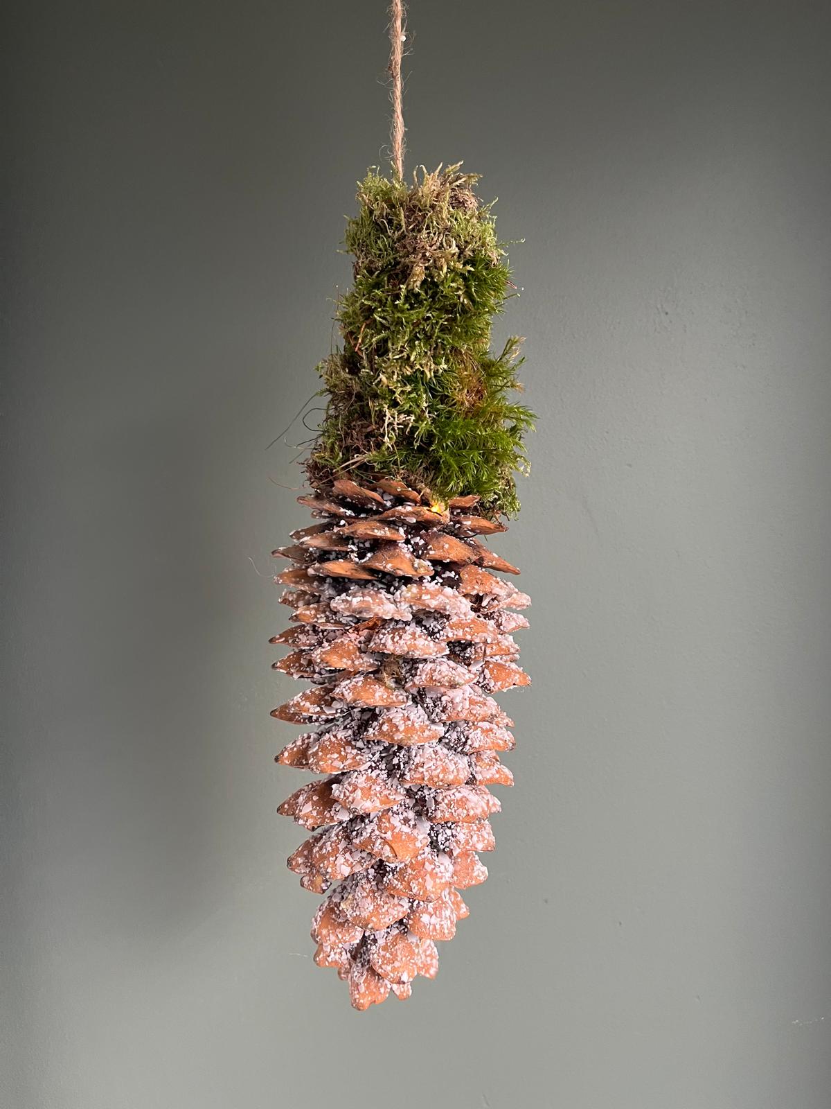 Dennenappel lantaarn